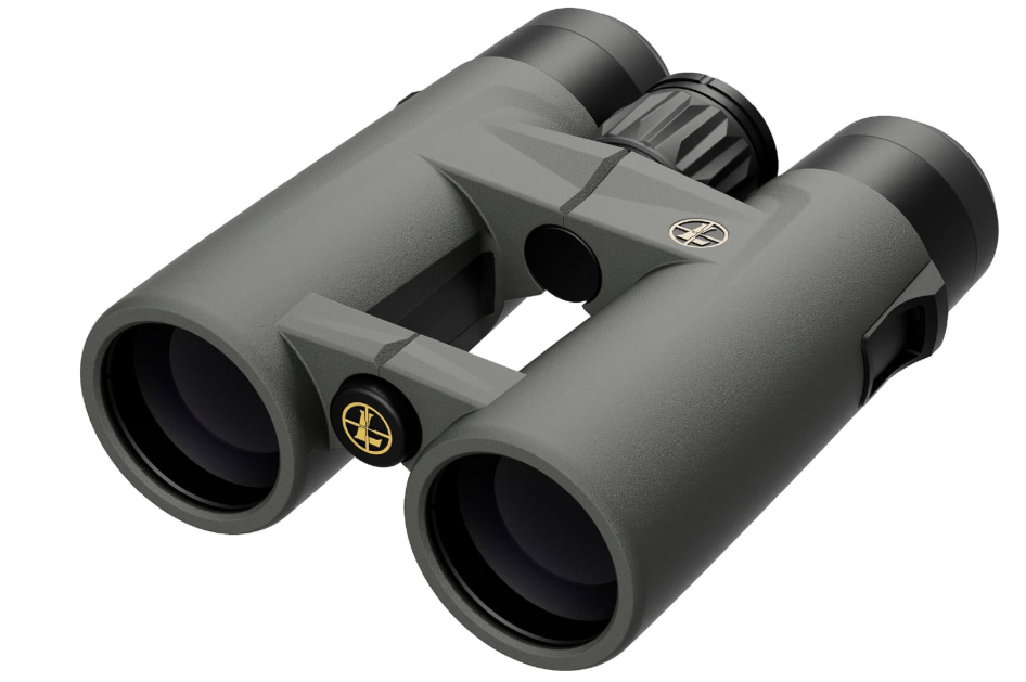 Leupold BX-4 Pro Guide HD Binoculars