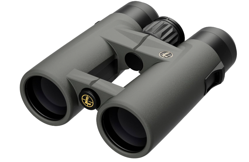 Leupold BX-4 Pro Guide HD Binoculars, 10x42mm Gen 2 (184761)