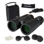 Best 10x42 Binoculars