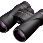 Best Birding Binoculars for Eyeglass Wearers