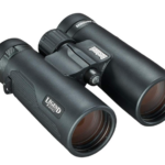 Best Binoculars for Whale Watching