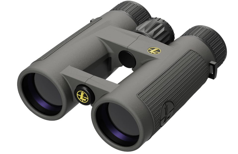 Leupold BX-4 Pro Guide HD Binoculars
