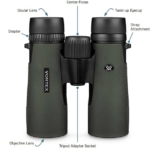 Best Budget Binoculars for Safari