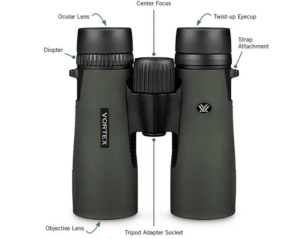 5 Best Budget Binoculars for Safari