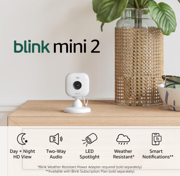 Blink Mini 2