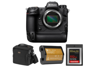 5 Best Affordable Camera for Bird Photography