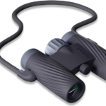 Best Budget Compact Binoculars for Birding