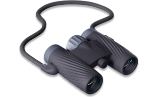 5 Best Budget Compact Binoculars for Birding
